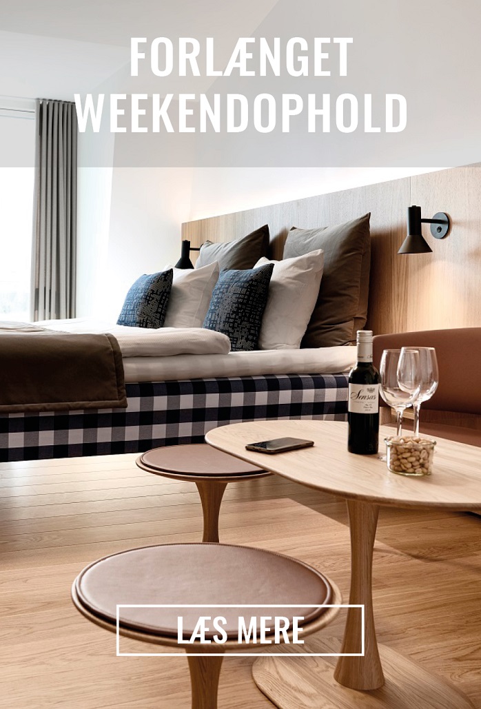 Forlænget weekend Aarhus | Book ophold på Hotel Oasia
