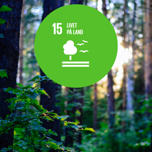 Som led i at bidrage til Verdensmål 15, har vi på Hotel Oasia bidraget til projektet ”Danmark Planter Træer”.